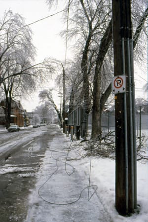 downed power lines in winter