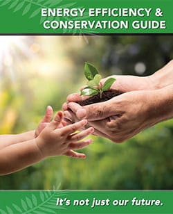 Efficiency Conservation Handbook Cover Image