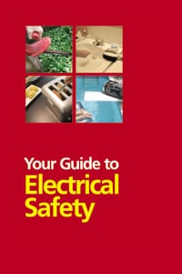 cover of electrical safety handbook